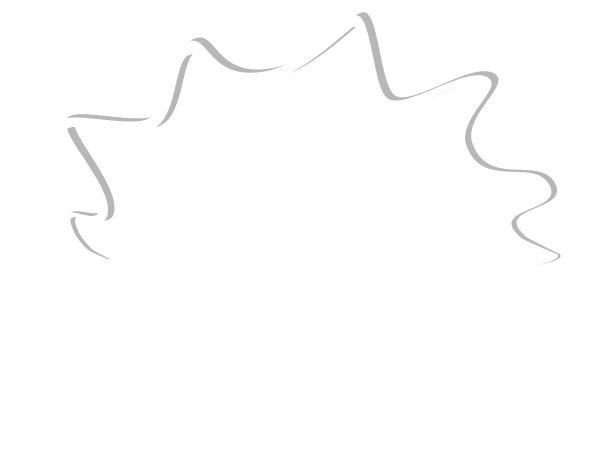 newlife-exide